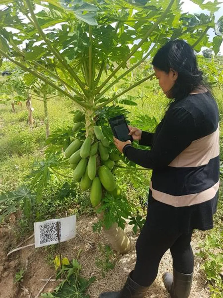 ยุคใหม่สินค้าเกษตร! วิทยาศาสตร์ฯ มธ. เปิดตัวแอปฯ “ออร์แกนิค” ระบบตรวจสอบแหล่งปลูกจนถึงตลาด เพื่อยกระดับสินค้าสู่เกษตรไฮเอนด์ นำร่องใช้จริงแล้ว 18 ฟาร์ม