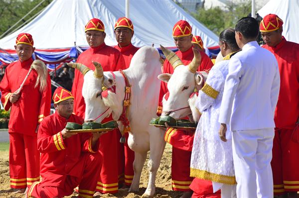 พระราชพิธีพืชมงคลจรดพระนังคัลแรกนาขวัญ ปีพุทธศักราช 2561 ทำขวัญธัญญาหารพืชพันธุ์ มอบความเชื่อมั่นสู่เกษตรกรไทย