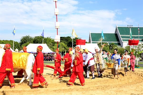 พระราชพิธีพืชมงคลจรดพระนังคัลแรกนาขวัญ ปีพุทธศักราช 2561 ทำขวัญธัญญาหารพืชพันธุ์ มอบความเชื่อมั่นสู่เกษตรกรไทย