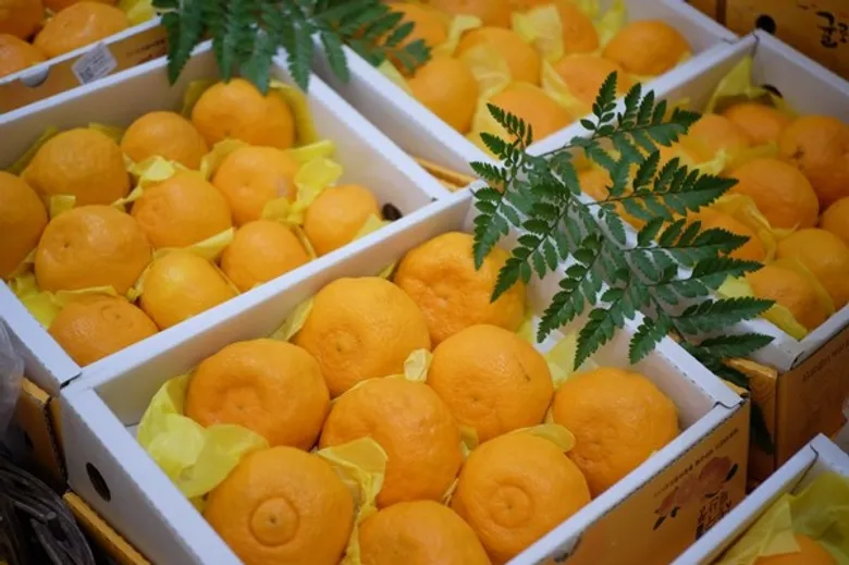 รัฐบาลเกาหลี เชื่อมั่น!! ตลาดผลไม้พรีเมี่ยมไทยโตขึ้นอีก ลุยนำเข้าต่อเนื่อง งาน “โคเรีย วันเดอร์ เฟรช” กระแสตอบรับดี เตรียมเพิ่มพื้นที่จำหน่ายเป็น 4 สาขา