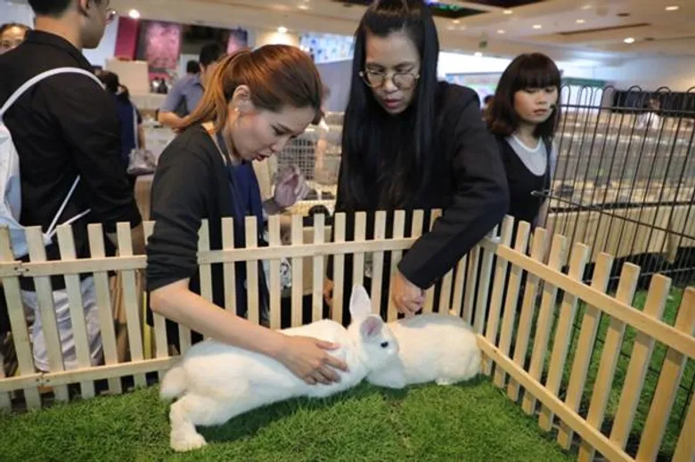ตลาดสัตว์เลี้ยงมาแรงดัน Pet Expo Thailand 2018 วันแรกคึกคัก ผู้จัดอัดโปรฯเอาใจคนรักสัตว์เพียบ คาด 4 วัน เงินสะพัด 88 ล้านบาท