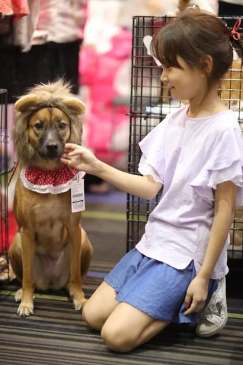 ตลาดสัตว์เลี้ยงมาแรงดัน Pet Expo Thailand 2018 วันแรกคึกคัก ผู้จัดอัดโปรฯเอาใจคนรักสัตว์เพียบ คาด 4 วัน เงินสะพัด 88 ล้านบาท