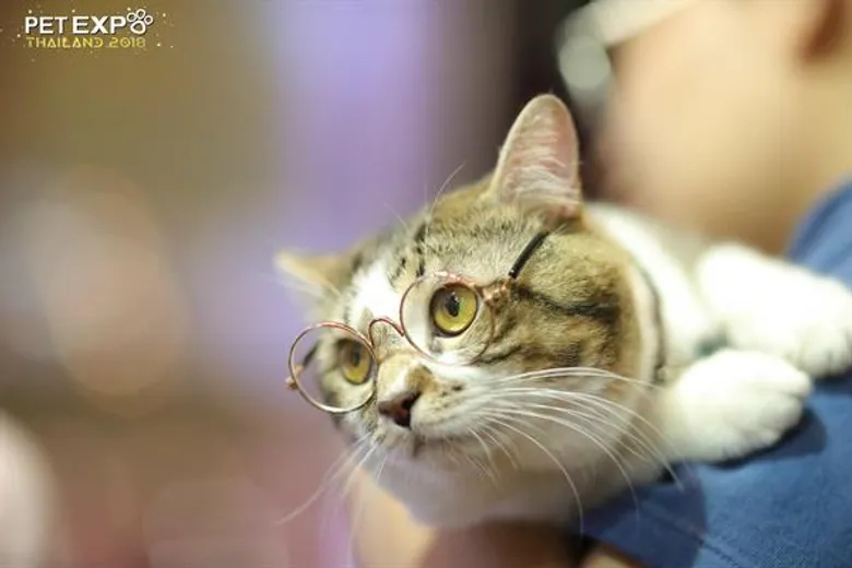 Pet Expo Thailand 2018 มหกรรมโชว์ความน่ารักของน้องๆ เหล่าคนรักสัตว์ต้องห้ามพลาด