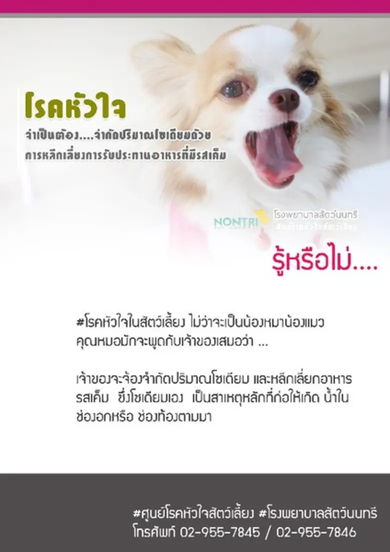 รู้หรือไม่.... โรคหัวใจในสัตว์เลี้ยง ไม่ว...