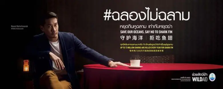 องค์กรไวล์ดเอดเปิดตัวคุณป้อง ณวัฒน์ กุลรั...