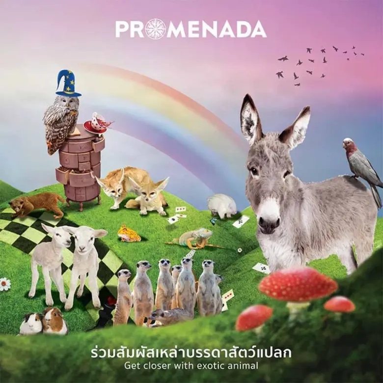 ศูนย์การค้าพรอมเมนาดา เชียงใหม่ ชวนหนูๆ มาร่วมเติมเ...