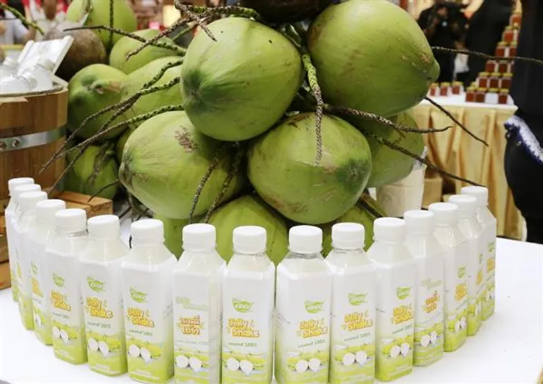 สถาบันอาหาร โชว์แผนพัฒนาเครือข่าย SME มะพร้าว กลุ่มทับสะแก ชูปลูกอินทรีย์ – แปรรูป “ผงชงพร้อมดื่ม”