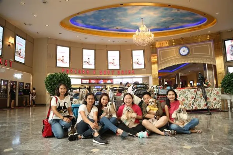 ชวนน้องหมา มาดูหนังกับ "เจอร์ไฮ"