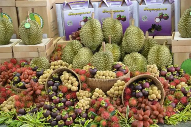 กรมส่งเสริมสหกรณ์หนุนสหกรณ์เหนือ-ใต้ รับม...