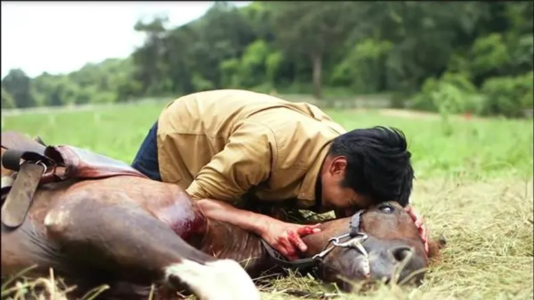 ธันน์ ธนากร ชวนดูฉากหินในตำนาน คน+ม้า ในละคร "เชิงชายชาญ"