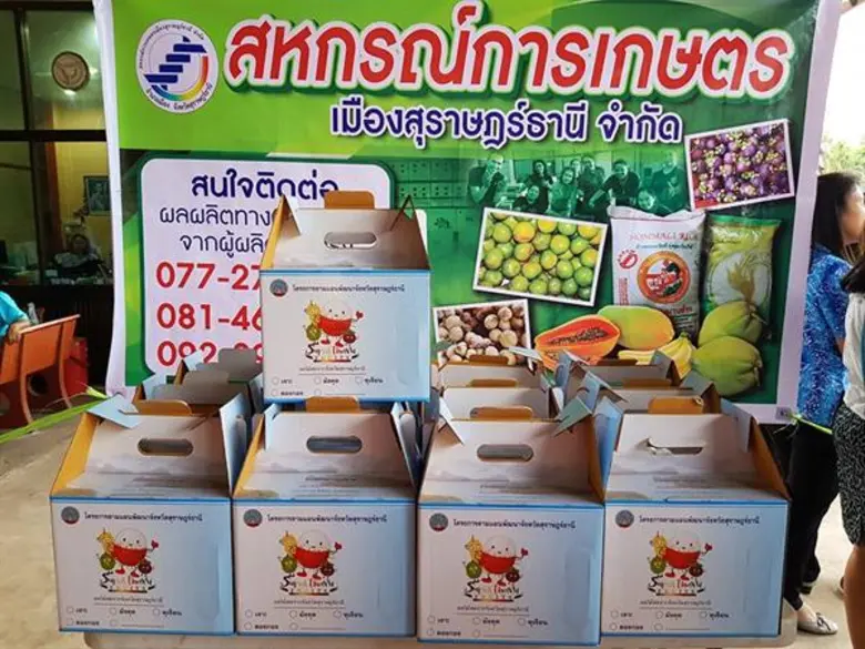 สหกรณ์การเกษตรเมืองสุราษฎร์ธานี จำกัด เร่...