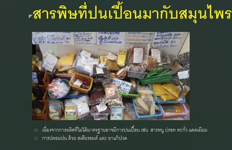 แพทย์ไทยรวมพลังแนะนำเรื่องสมุนไพร อันตรายสำหรับผู้ป่วยโรคไต