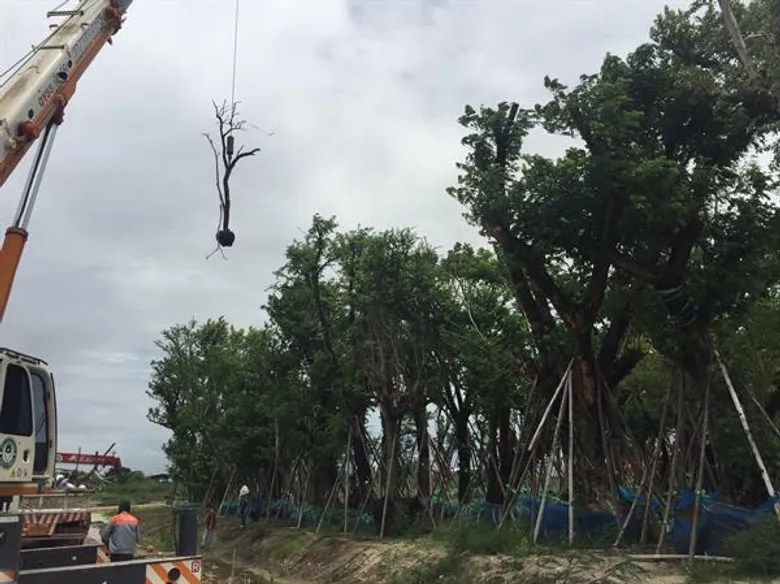 ช่วยต้นไม้ ไม่ให้ตาย เพื่อความสุขของมนุษย์ “Forest Rescue – ฟอเรส เรสคิว” แคมเปญรณรงค์เพื่อการอนุรักษ์และกู้ชีพต้นไม้รอบกรุงเทพฯ และปริมณฑล ส่งสาส์นสร้างความตระหนักรู้ “รักษาชีวิตต้นไม้ เท่ากับ รักษาชีวิตเรา”