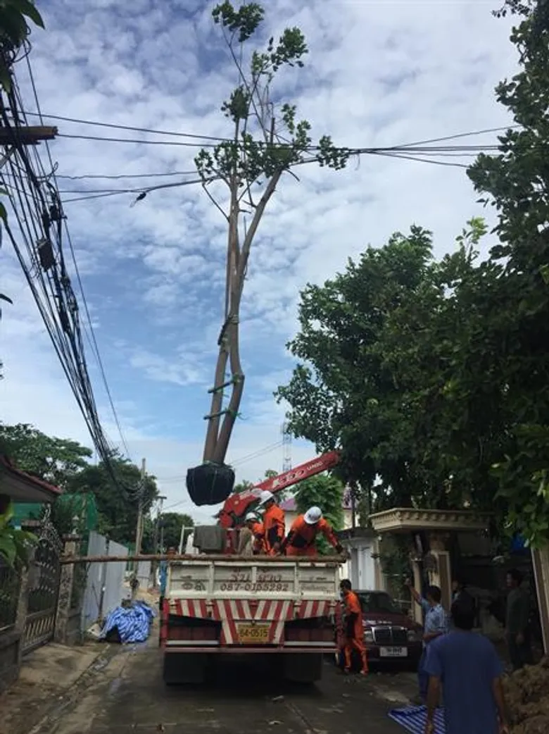 ช่วยต้นไม้ ไม่ให้ตาย เพื่อความสุขของมนุษย์ “Forest Rescue – ฟอเรส เรสคิว” แคมเปญรณรงค์เพื่อการอนุรักษ์และกู้ชีพต้นไม้รอบกรุงเทพฯ และปริมณฑล ส่งสาส์นสร้างความตระหนักรู้ “รักษาชีวิตต้นไม้ เท่ากับ รักษาชีวิตเรา”