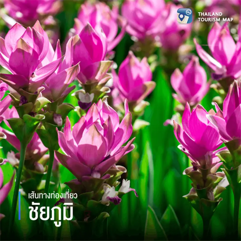 #ใครไม่CoolอีสานCool !!! หลับตาแล้วลบภาพค...