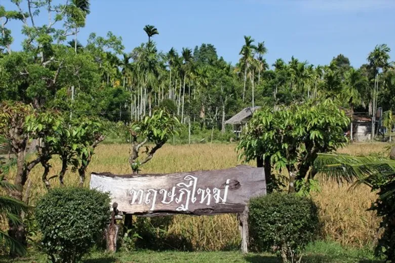 ขยายผลทฤษฎีใหม่ สู่การปฏิบัติใช้ของราษฎร