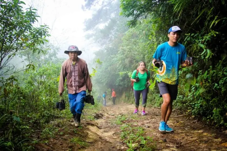 Flight of the Gibbon Continued Forest Restoration Project in Mae Kampong	