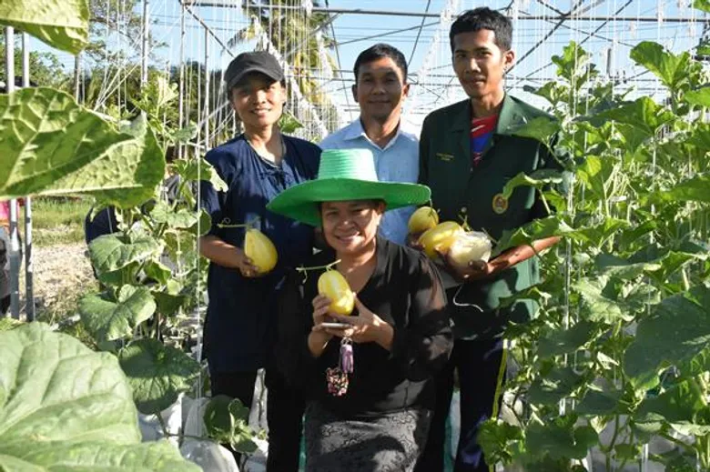 มรภ.สงขลา พาชมห้องเรียนเกษตรเพื่อชุมชน โชว์พืชผักปลอดสาร ผลงานอาจารย์-นศ.