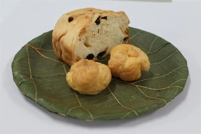 เครื่องขึ้นรูปผลิตจานใบไม้ รักษ์โลก...เพิ่มรายได้ส่งออก ลดขยะพิษพลาสติก