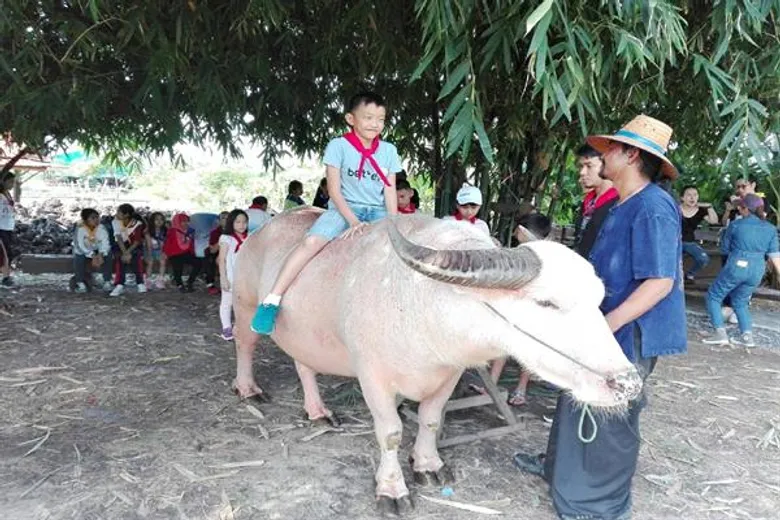 ฮอนด้าจัดเวิร์คช็อป “คิด(ส์) กระหึ่มนา จินตนาการวิถีไทย” นำ 30 นักคิดรุ่นจิ๋ว เรียนรู้กับธรรมชาติและสัมผัสวิถีชีวิตไทยพื้นบ้าน ก่อนแข่งขันรอบสุดท้ายในโครงการ “ฮอนด้า ซูเปอร์ ไอเดีย คอนเทสต์ 2018”