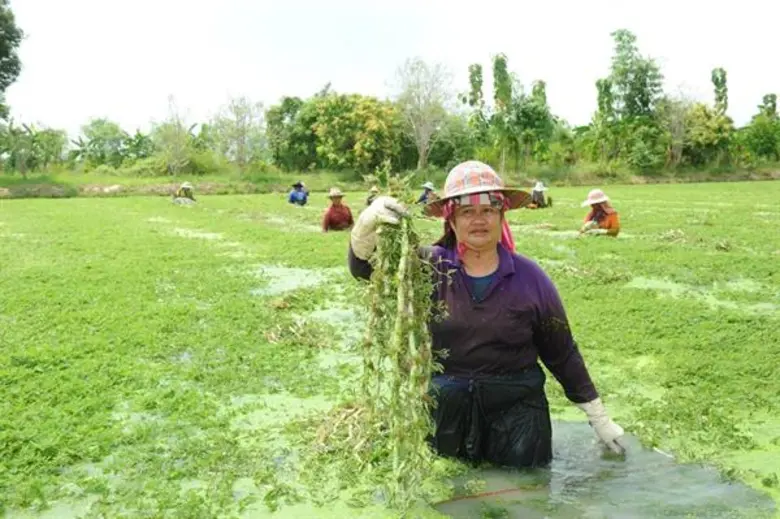เยือนชุมชนท่องเที่ยว OTOP นวัตวิถี จังหวัดสมุทรปราการ เช็คอินวัดบางเสาธงนอก  นมัสการวัดสุวรรณภูมิพุทธชยันติ เยือนคลังน้ำมัน BASF อากาศยาน สถานที่ท่องเที่ยวประทับใจที่ไม่ไกลจากกรุงเทพฯ