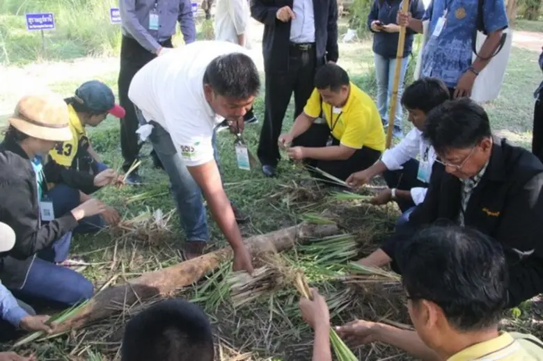 สืบสาน ต่อยอด พัฒนาและรณรงค์ การใช้หญ้าแฝกอันเนื่องมาจากพระราชดำริ