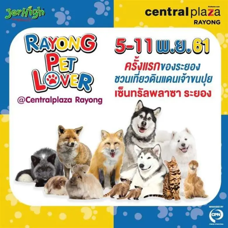 ศูนย์การค้าเซ็นทรัลพลาซา ระยอง จัดงาน "Ra...