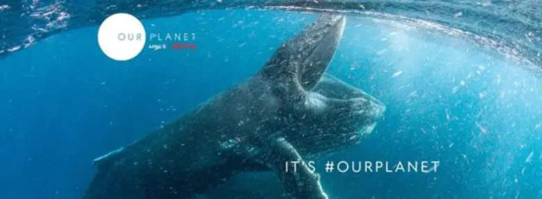 WWF รวมพลคนรักษ์โลก ผ่านสารคดีคุณภาพ Our ...