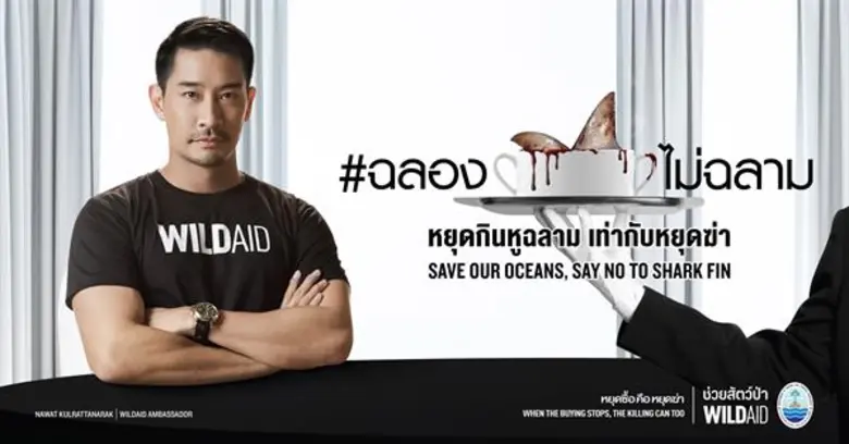 องค์กรไม่แสวงผลกำไรไวล์ดเอด (WildAid) เผย...