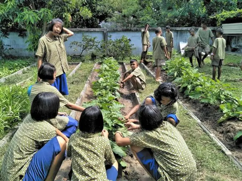 มูลนิธิ EDF เยี่ยมโครงการส่งเสริมสุขภาพเด็กวัยเรียนด้วยการขยับและกินผักผลไม้ สนับสนุนโดย สสส.