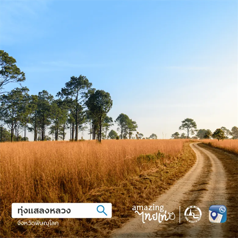 Thailand Tourism Map แอปพลิเคชันแผนที่ แนะนำ 10 มุมท่องเที่ยวที่ไม่ต้องไปไกล เพราะเมืองไทยก็มี