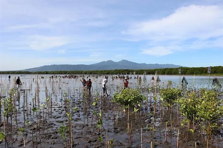 ซีพีเอฟฟิลิปปินส์ อนุรักษ์และฟื้นฟูป่าชายเลนโครงการ “Plant Today, Reap Tomorrow” ต่อเนื่องปีที่ 5