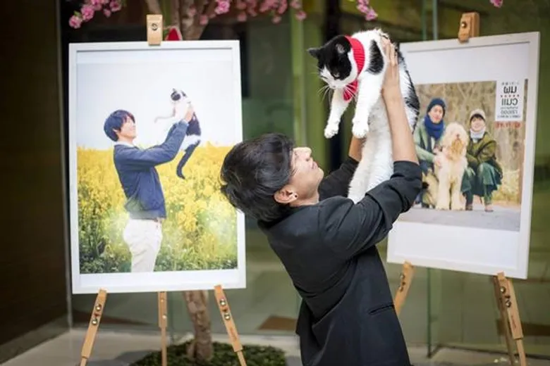 Movie Guide: ครั้งแรกในไทย มงคลซีนีม่า ร่วมกับ โรงภาพยนตร์ เฮ้าส์ อาร์ ซีเอ ปิดโรงพาน้องแมวมาดูหนังแมวเรียกน้ำตา The Travelling Cat Chronicles ผมแมวและการเดินทางของเรา