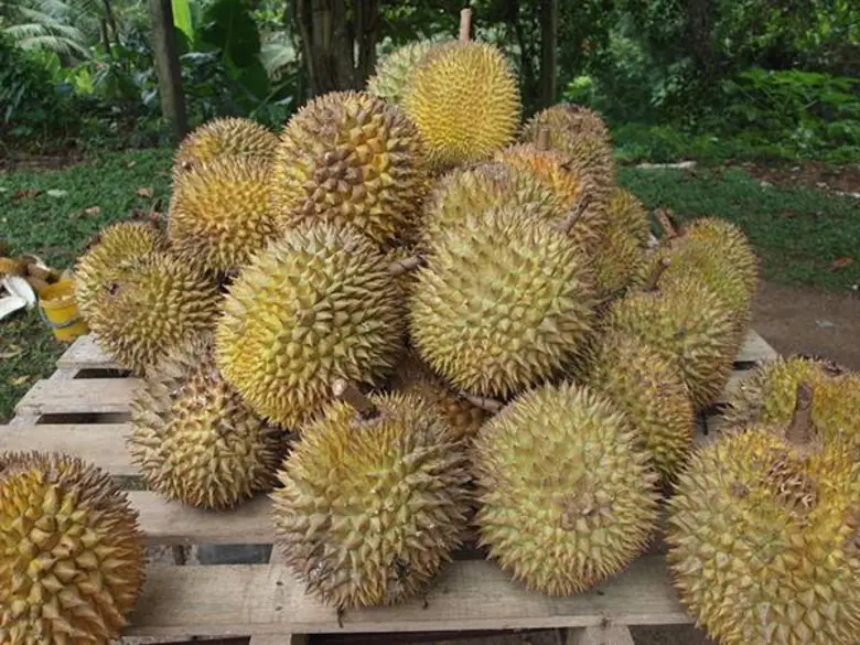 นายฉันทานนท์ วรรณเขจร รองเลขาธิการสำนักงา...