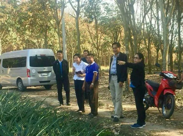 เปิดตัวพืชทางเลือกแทนสับปะรดพื้นที่พิษณุโลก-อุตรดิตถ์ แนะเร่งจัดการ แก้ปัญหาผลผลิตล้น