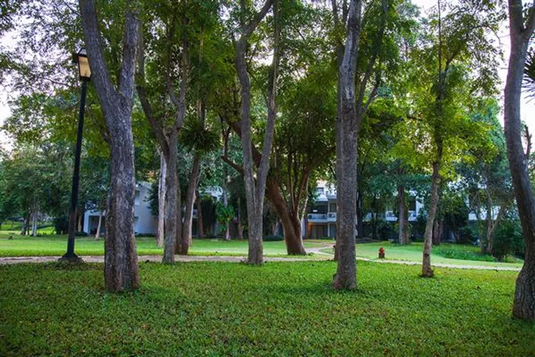 คำแสด ริเวอร์แคว รีสอร์ท “ลดปัญหาเรือนกระจก” สู่ธรรมชาติอุดมสมบูรณ์