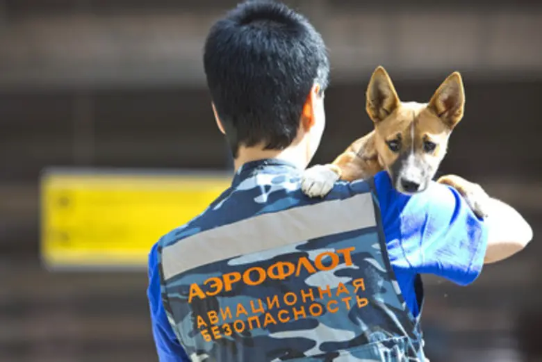 สายการบินแอโรฟลอต (Aeroflot) จดทะเบียนสุน...