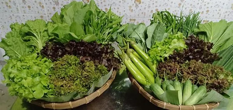 สหกรณ์นิคมชะอำ จำกัด ส่งเสริมสมาชิกรวมกลุ่มปลูกผักอินทรีย์ กรมส่งเสริมสหกรณ์ร่วมมือห้างโมเดินเทรดตามแนวประชารัฐหาตลาดรองรับ