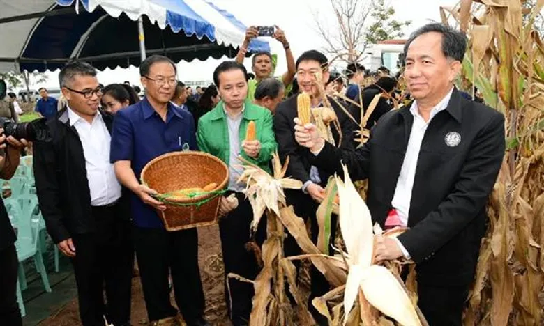 รมว.ลงพื้นที่เก็บเกี่ยวข้าวโพดหลังฤดูทำนา จ.อุตรดิตถ์