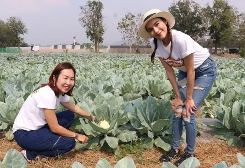 สร้างกระแสการท่องเที่ยวเชิงเกษตรจนติดอันด...