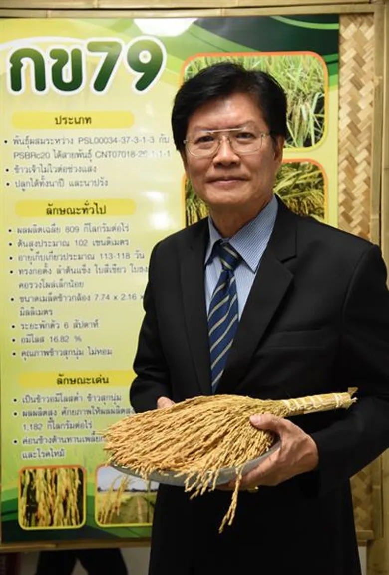 กรมการข้าวรับรองข้าวพันธุ์ใหม่ผลผลิตสูง 1.2ตัน/ไร่ ตอบโจทย์ข้าวนุ่มส่งออกอาเซียน
