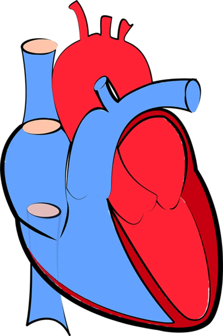 แพทย์ ชี้ “โรคหัวใจและหลอดเลือดฯ” สถิติตายอันดับ 1 ของโลก และเพิ่มขึ้นต่อเนื่อง พบอาการขั้นรุนแรง ต้องผ่าตัดเปลี่ยนหัวใจ เพื่อคุณภาพชีวิตที่ดี – ชีวิตใหม่