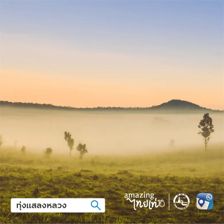 Thailand Tourism Map แอปพลิเคชันแผนที่ท่อ...