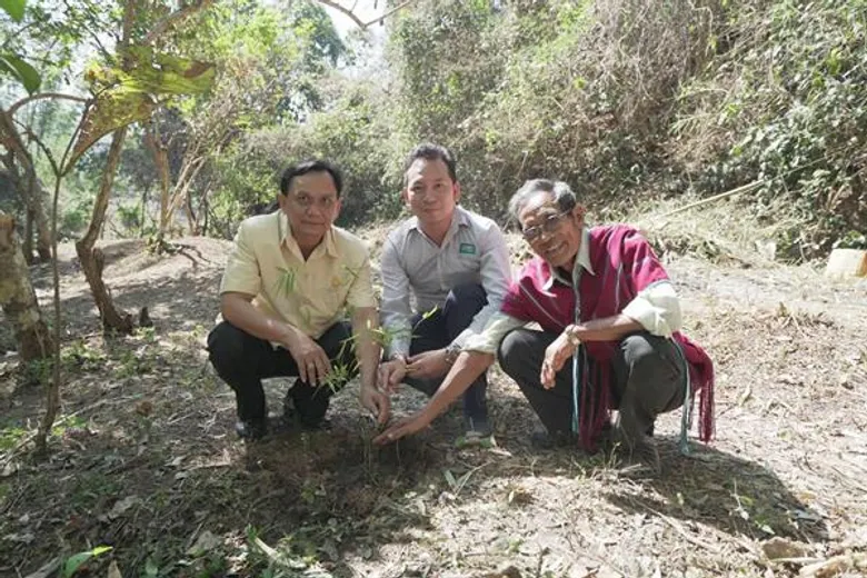 ไทวัสดุ ร่วมสืบสานพระราชปณิธานในโครงการป่ารักษ์น้ำ สร้างฝายชะลอน้ำ คืนธรรมชาติเพื่อลูกหลาน