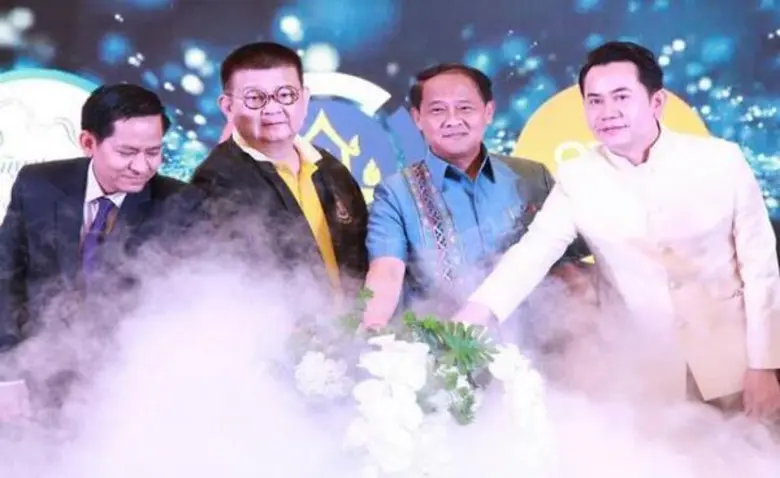กลุ่มปรับตัวสู่การพัฒนา (กลุ่ม D) ภายใต้โ...