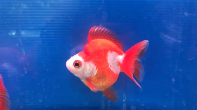 ปิดเทอมนี้ขอเชิญน้องๆหนูๆร่วมชมงาน “Aqua Life Exhibition”
