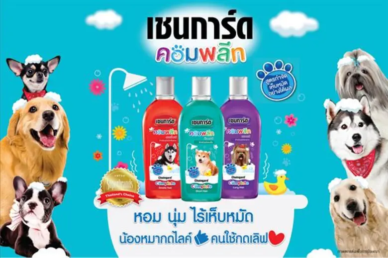 "เชนการ์ด" ผู้นำตลาดแชมพูสุนัขของเมืองไทย...