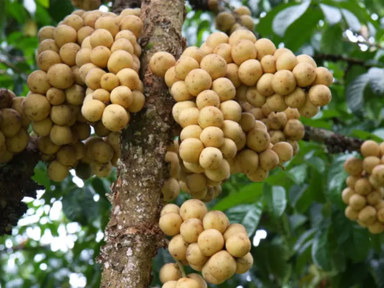 นายฉันทานนท์ วรรณเขจร รองเลขาธิการสำนักงา...