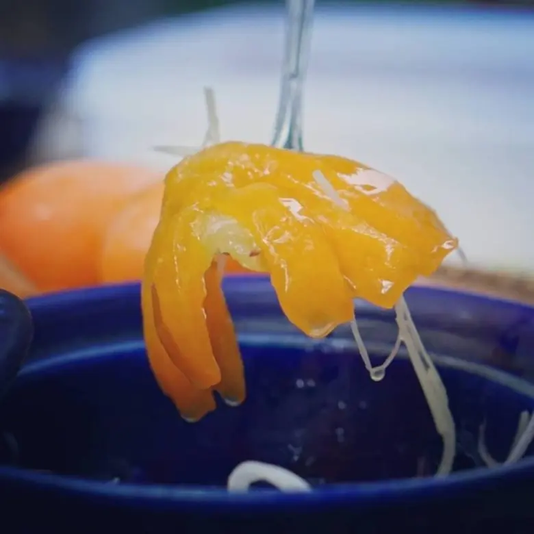 คืนความสดชื่นอย่างไทยกับ “ส้มฉุนมะยงชิด”