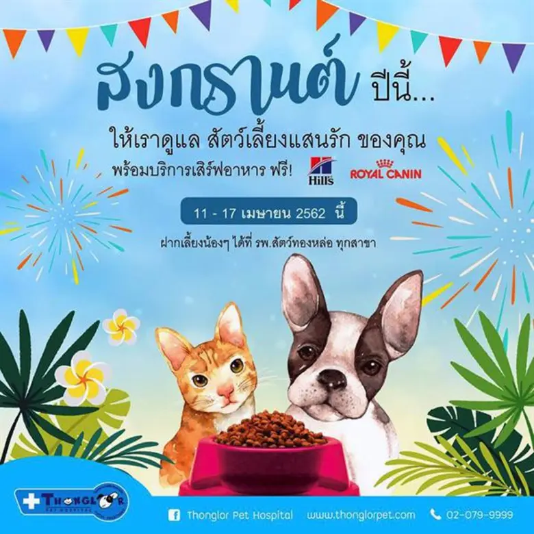 โรงพยาบาลสัตว์ทองหล่อ พร้อมให้บริการฝากน้...